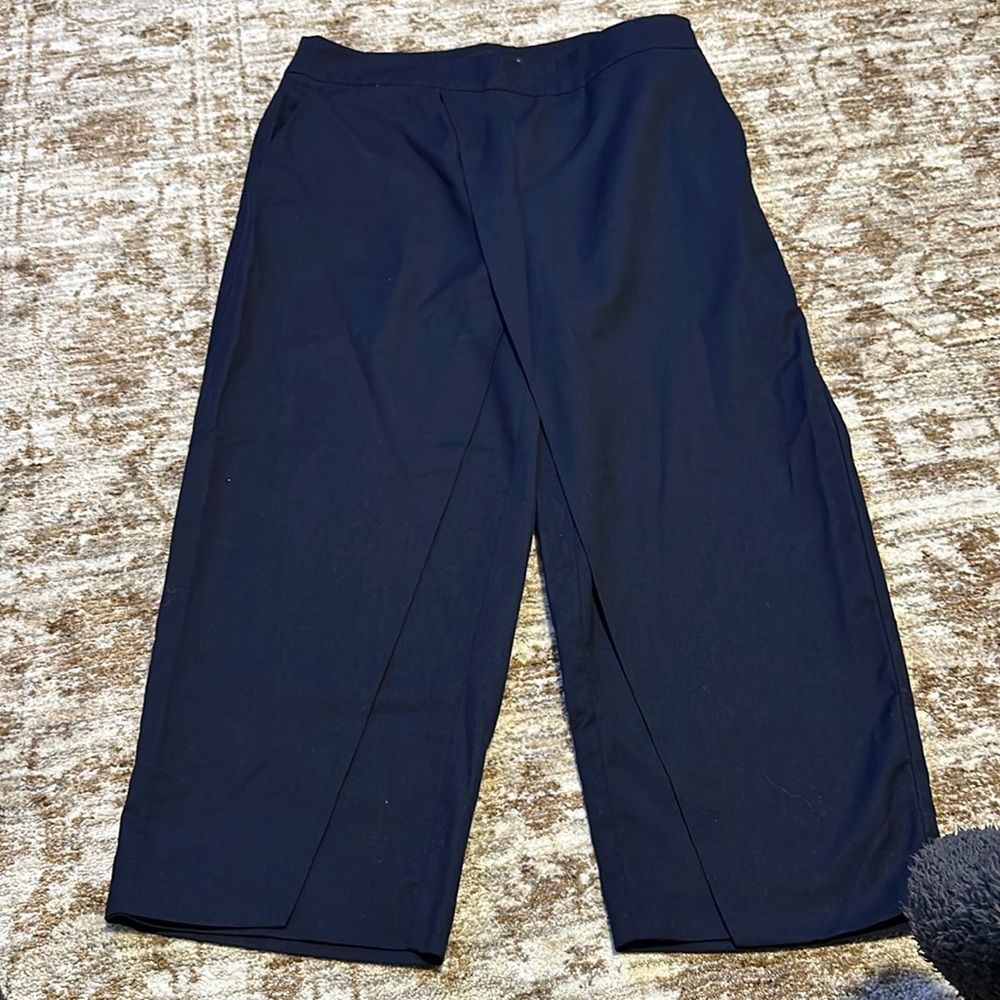 Zara cropped pants/faux skirt